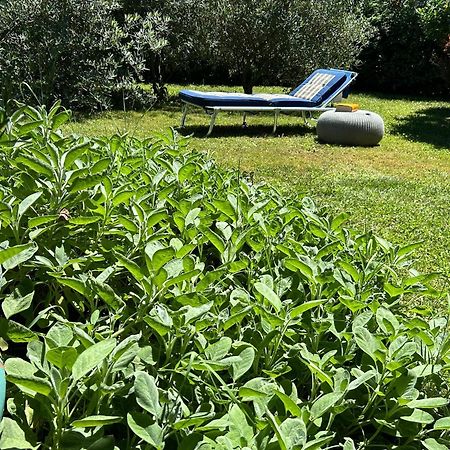 Collina d'Oro Golden Hill - Big Rooms With Kitchen And Garden المظهر الخارجي الصورة