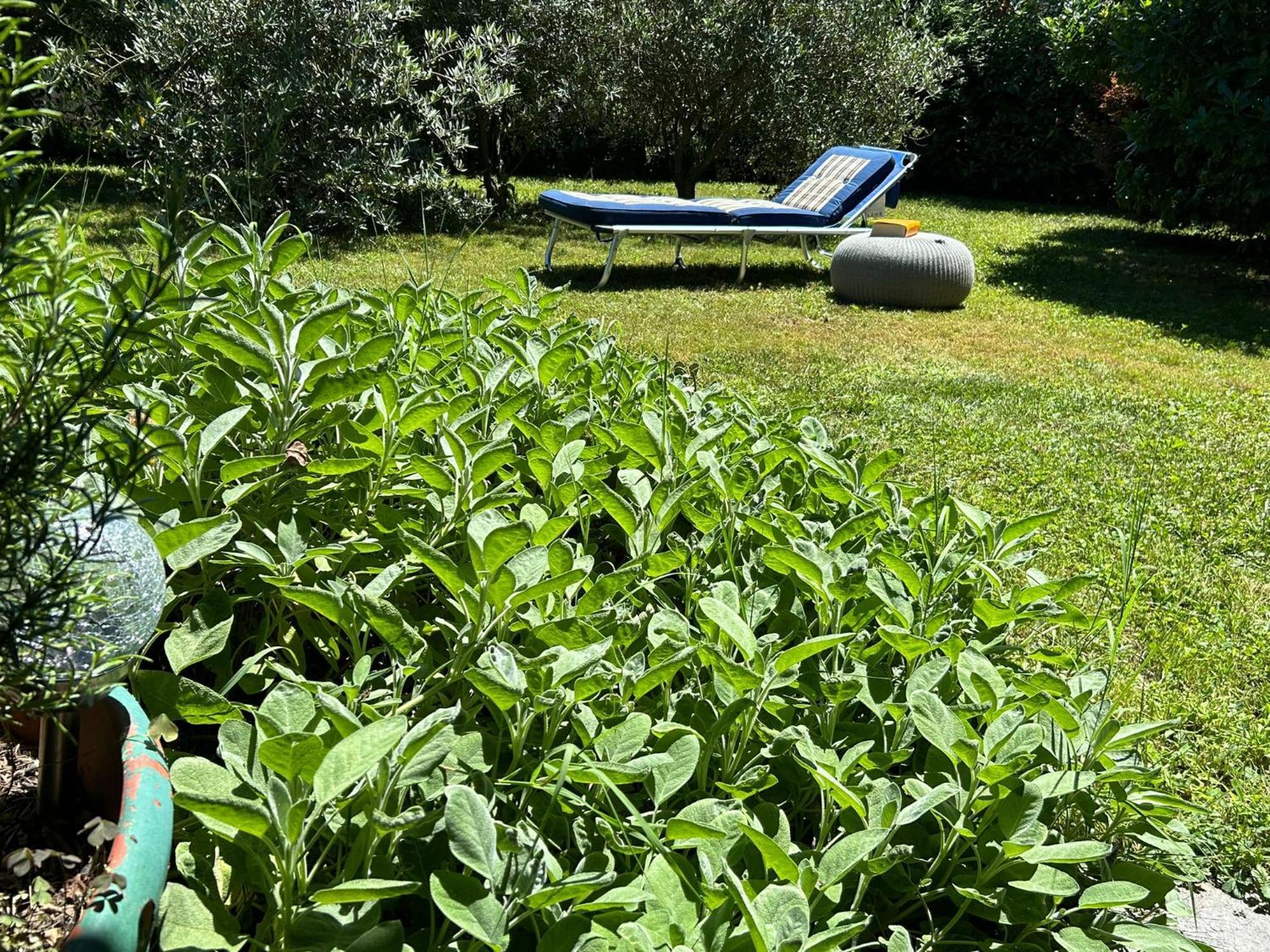 Collina d'Oro Golden Hill - Big Rooms With Kitchen And Garden المظهر الخارجي الصورة